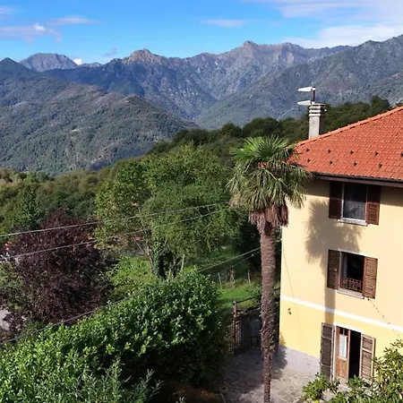 Antico Di Cavaglia Sterna *