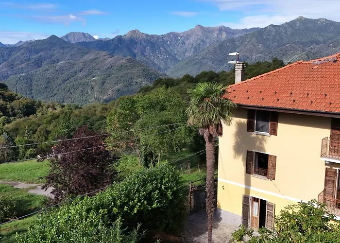Antico Di Cavaglia Sterna *